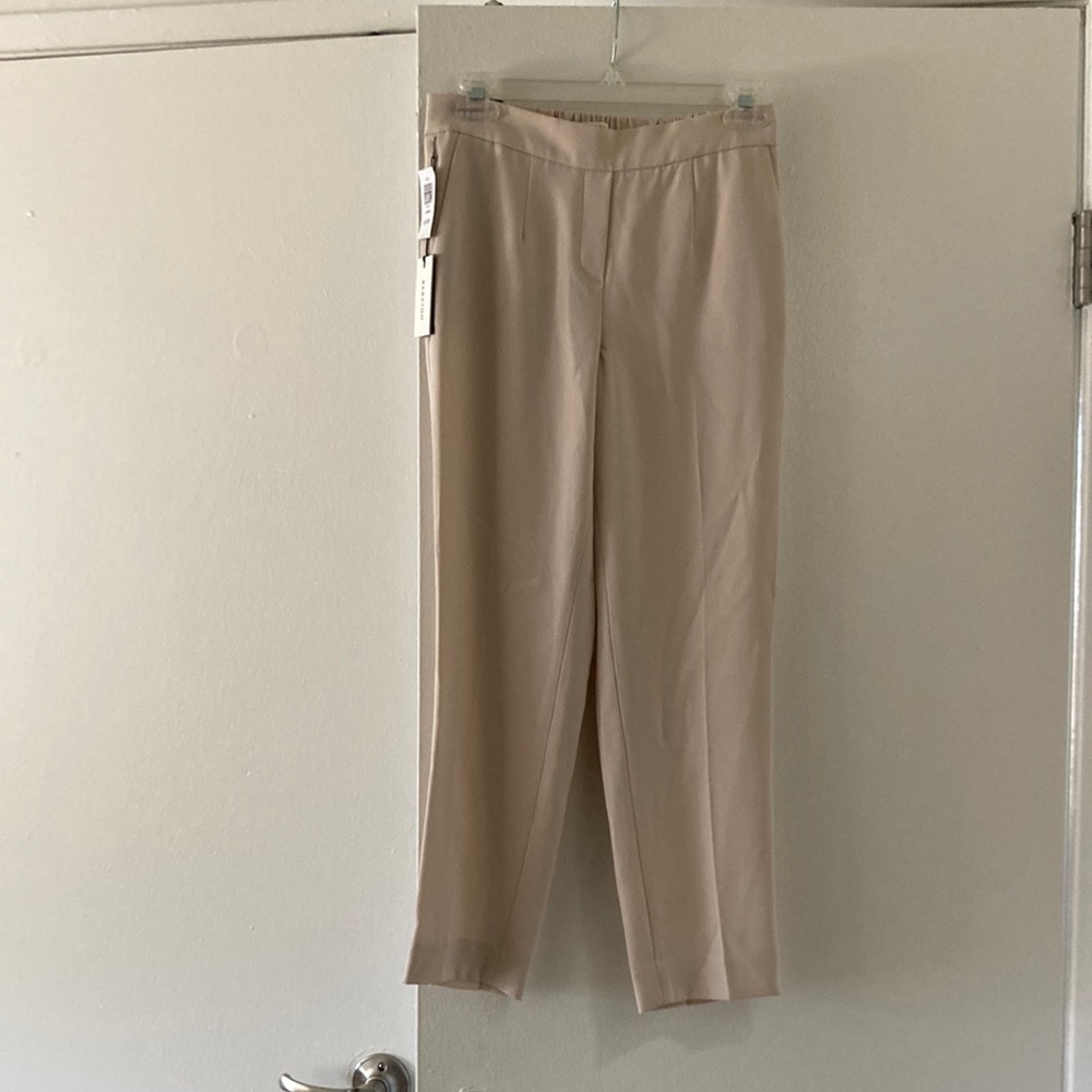 Aritzia babaton conan pants
